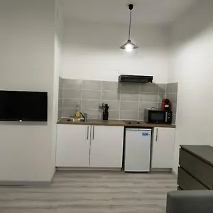  Appartement Saint Etienne Studio Lot 8